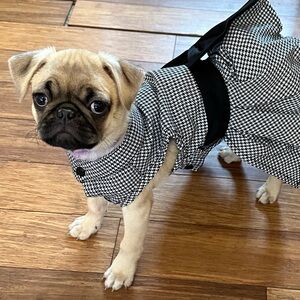Tweed Dog Dress with Bow - black & white houndstooth - like new